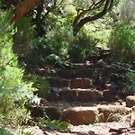 A Charming Spot Dom wakacyjny Estreito Da Calheta