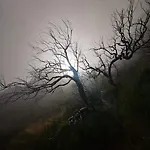 A Charming Spot *