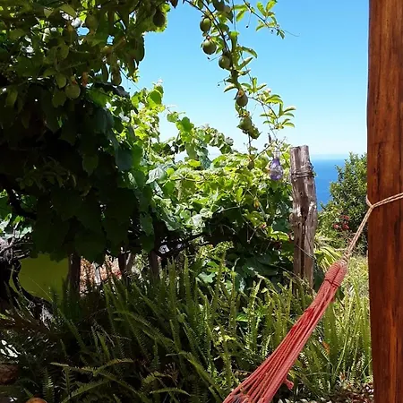 A Charming Spot Estreito Da Calheta