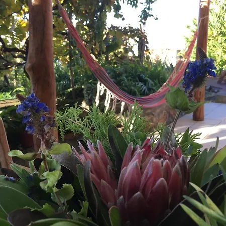 Semesterbostad A Charming Spot *