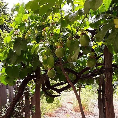 A Charming Spot Semesterbostad *