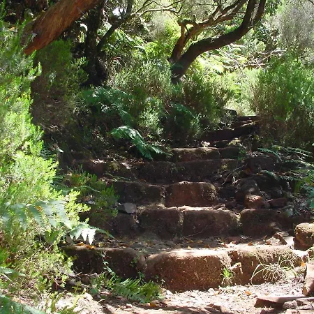 A Charming Spot Semesterbostad Estreito Da Calheta