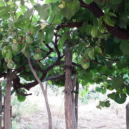 A Charming Spot * Estreito Da Calheta