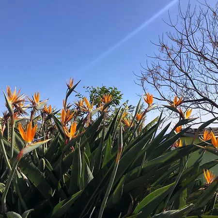 Дом отдыха A Charming Spot *