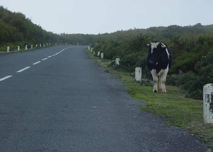 Casa de Férias A Charming Spot Estreito Da Calheta