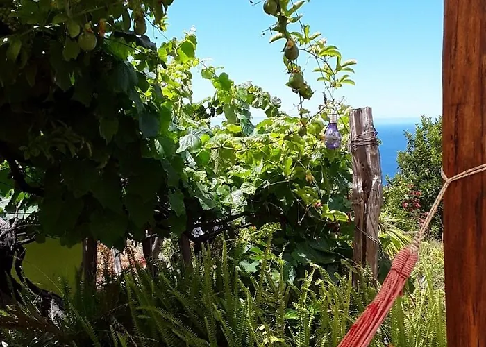 A Charming Spot Estreito Da Calheta