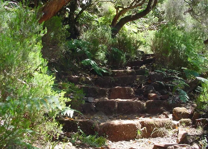 A Charming Spot Дом отдыха Estreito Da Calheta
