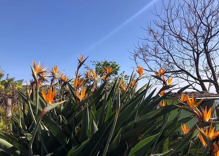 Дом отдыха A Charming Spot *