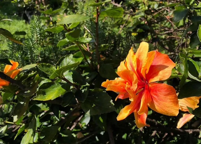 Дом отдыха A Charming Spot *